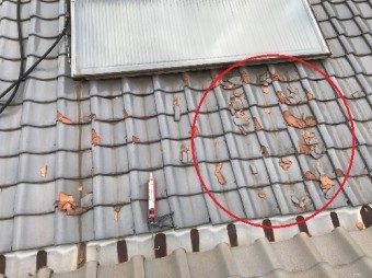 雨漏り屋根工事前写真
