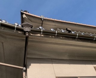 集水器の交換後