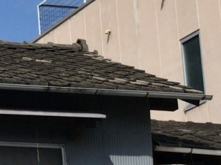 軒先補修