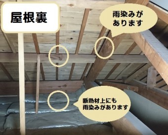 屋根裏の雨漏り点検