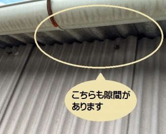 現地調査