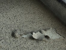 壁塗装剥がれ