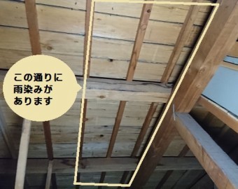 屋根裏しみ