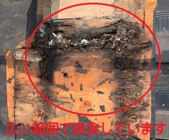 広い範囲での野地板の腐食
