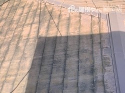 北側下屋根