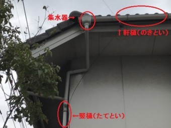雨樋交換のタイミング