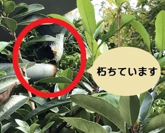 朽ちた雨樋