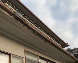 雨樋修理前