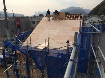 新築野地板