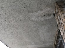 庇裏の水痕