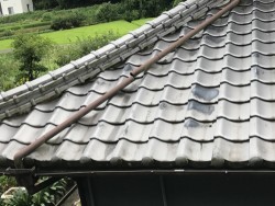 這樋の割れ