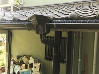 竪樋の新しい写真②