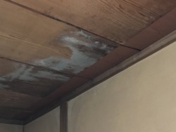 天井雨漏り痕