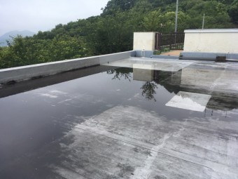 雨水溜まり