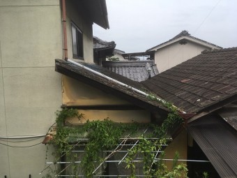谷、臭突管