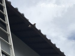 割れた瓦で樋に穴