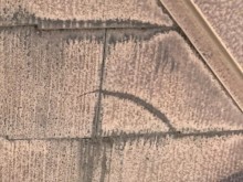 ヒビ