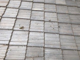 雨漏り修理