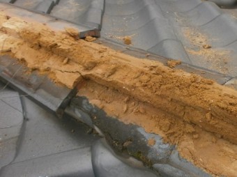 棟雨漏りの確認
