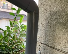 竪樋