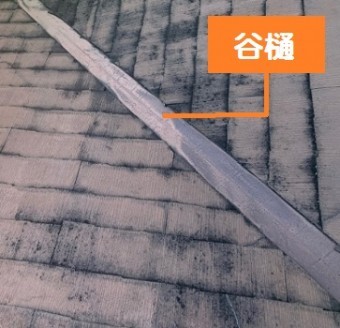 谷樋点検