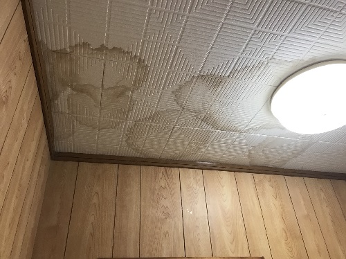 雨漏りによる天井の様子①