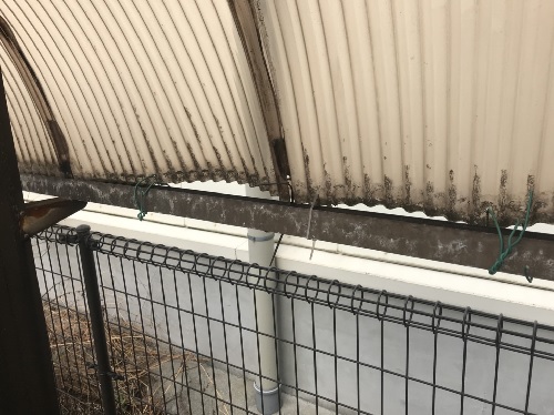 福山市にて強風で飛散した駐輪場屋根を応急処置後、ポリカ波板に交換工事前の屋根材