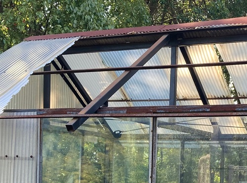 尾道市にて強風で飛ばされた温室の波板屋根調査で無料見積り飛散した塩化ビニル製波板