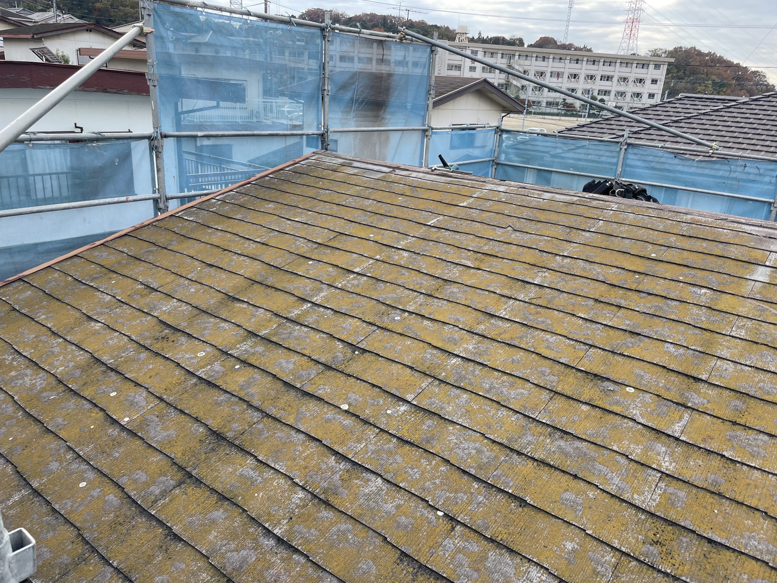 カラーベスト屋根
