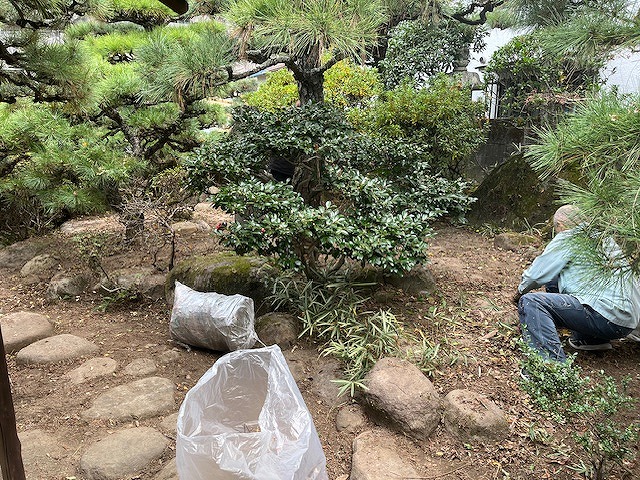 福山市にある一軒家の庭で雑草除去(草むしり)作業を行いました