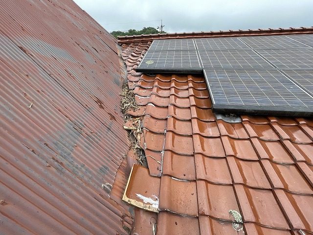 施工後の谷ラインと雨水の通り道を整形