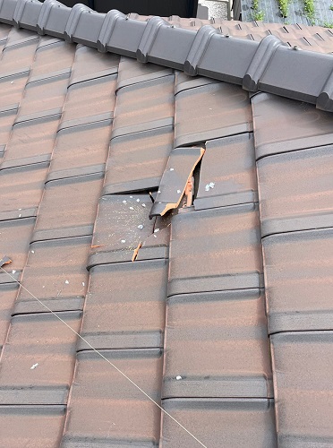 福山市にて飛来物（鳥が落とした魚）により割れた瓦屋根の修理ビフォー