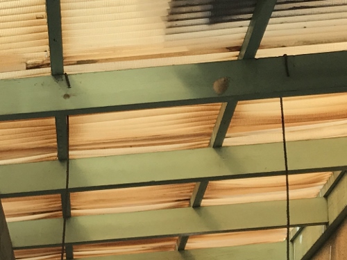 尾道市でうねったり割れたりしているテラス屋根の無料点検ガラスネット入り波板テラス屋根