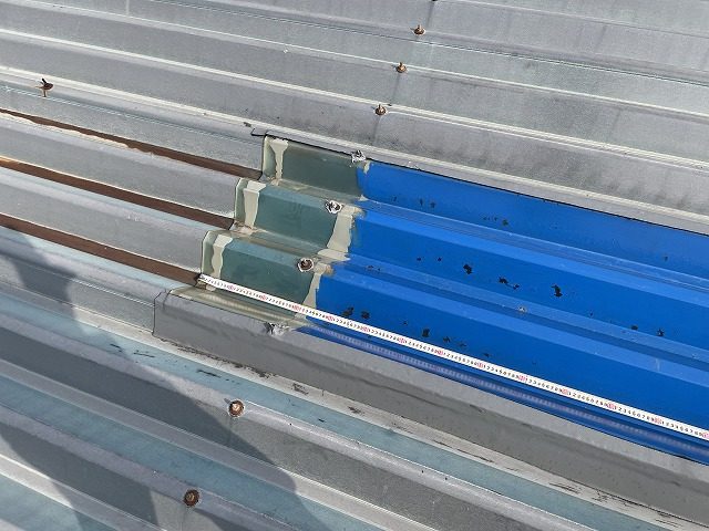 折半屋根のポリカに青色塗っている写真