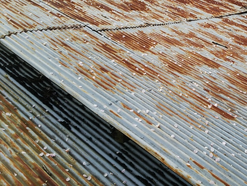 福山市にて赤サビが広がり穴のあいた農業用倉庫屋根の雨漏り調査全体の様子錆びた屋根材