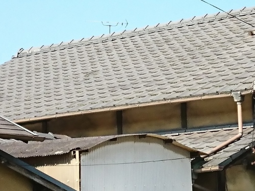 福山市のセメント瓦屋根雨漏り調査で耐震性能を高める金属屋根葺き替えを提案傷んだセメント瓦屋根