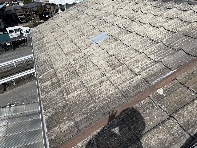 瓦屋根の全景の写真