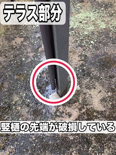 福山市にてテラスの竪樋破損調査