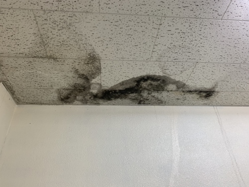福山市の鉄筋コンクリートの３階建てビルの折板葺き屋根雨漏り調査広島ビル天井の雨染み