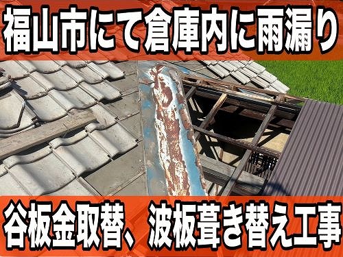 福山市にて倉庫内で雨漏りの為、板金取替や波板葺き替え工事