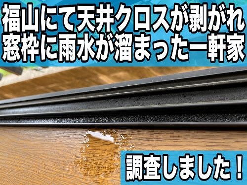 福山市にて天井クロスが剥がれ窓枠に雨水が溜まった一軒家の調査