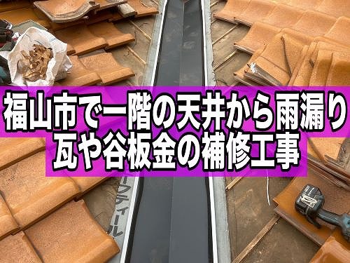 福山市で一階の天井から雨漏りした戸建の瓦や谷板金補修工事