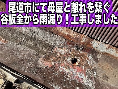 尾道市にて母屋と離れを繋ぐ谷板金から雨漏り！修繕工事をしました