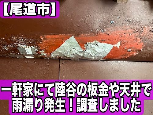 尾道市の一軒家にて陸谷の板金や天井から雨漏り！調査しました