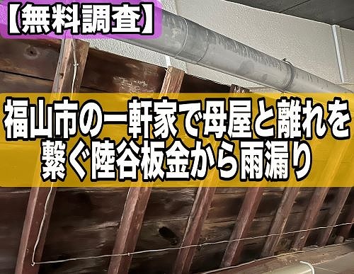 福山市の一軒家にて母屋と離れを繋ぐ陸谷板金に亀裂！雨漏り調査