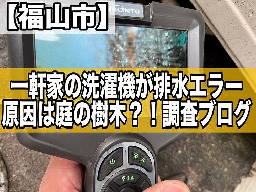 福山市の一軒家にて洗濯機が排水エラー｜原因は庭にある樹木？！