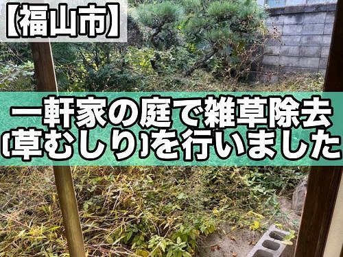 福山市にある一軒家の庭で雑草除去(草むしり)作業を行いました