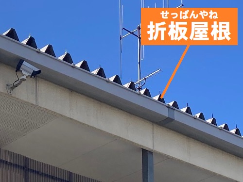 福山市で鉄骨造二階建てアパート折板屋根のボルトキャップ取付工事折板屋根