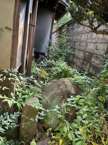 福山市にある一軒家の庭で雑草除去(草むしり)作業を行いました