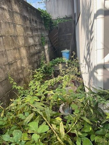 福山市にある一軒家の庭で雑草除去(草むしり)作業を行いました